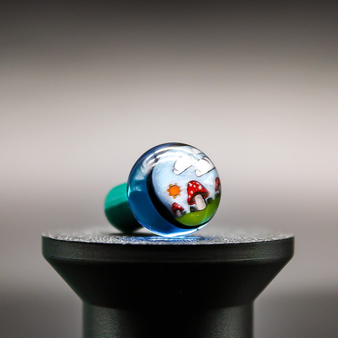 STEVEN H GLASS CONTROL TOWER CAPS