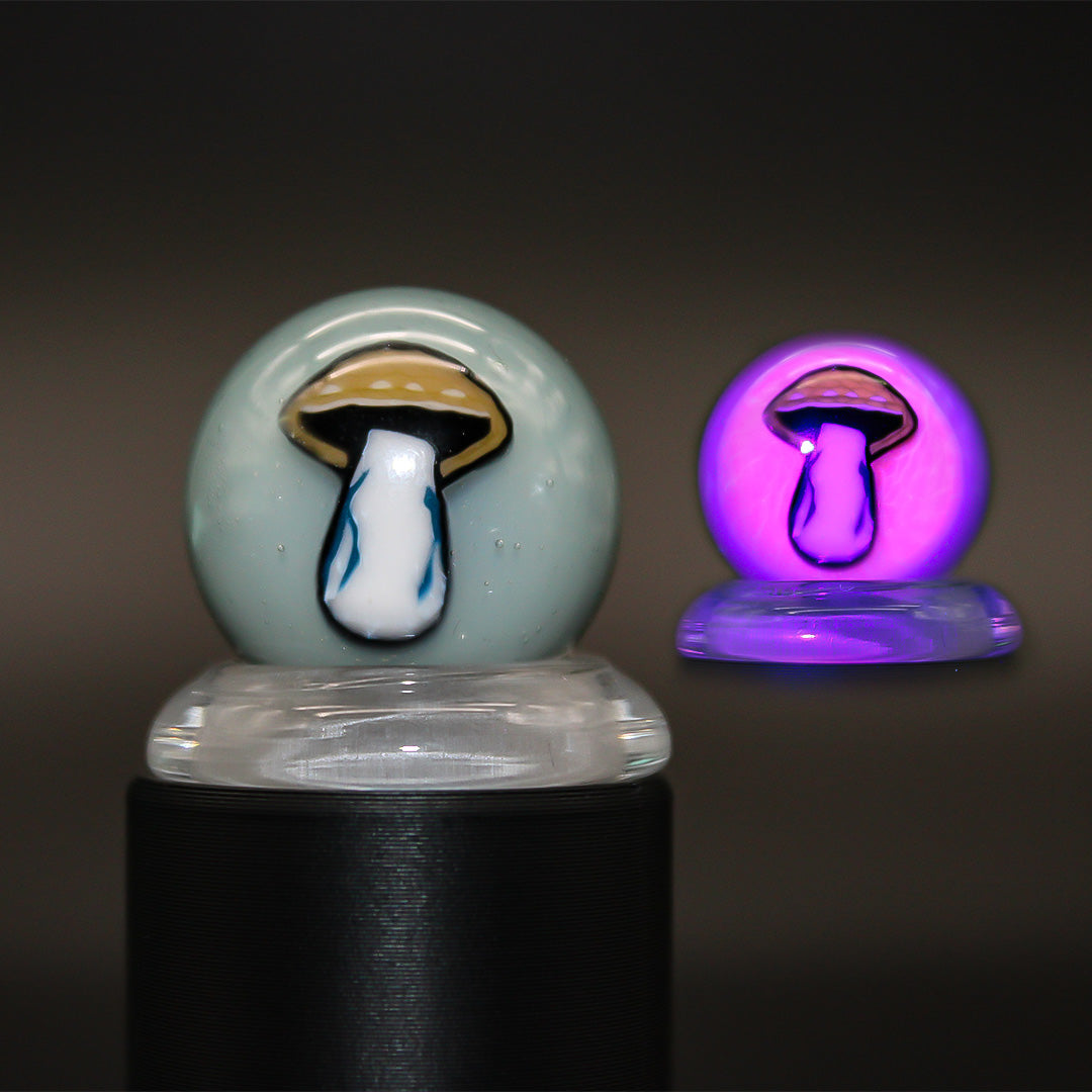 STEVEN H GLASS MILLIE MARBLE