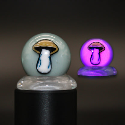 STEVEN H GLASS MILLIE MARBLE